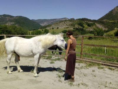 equitherapie dans les Hautes Alpes