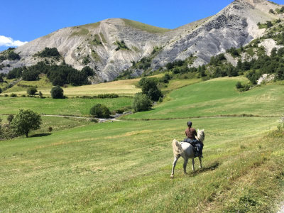 Galop Dans les champs à cheval