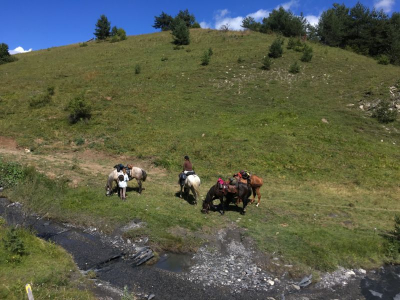 Les alpages de montagne à cheval