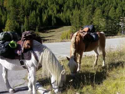 départ de rando a cheval dans le queyras