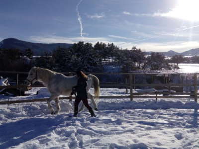 equitherapie dans les Hautes Alpes