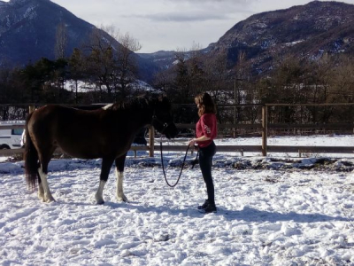 médiation equine proche de Gap