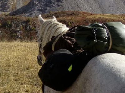 en alpage à cheval