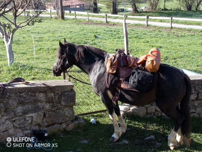 préparation du cheval rando itinerante