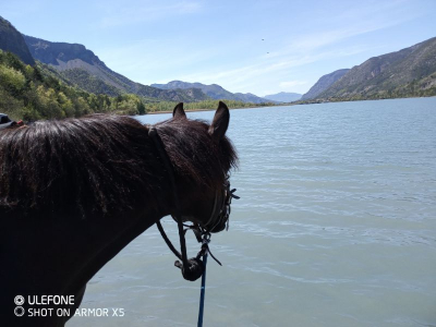 lac de serre poncon à cheval