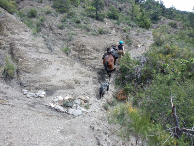 Passage en montagne avec les chevaux