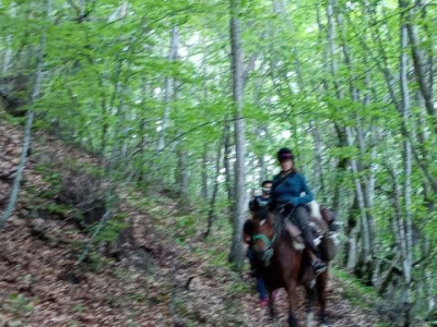 Descente a cheval dans le Bois noir