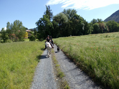 Découvrte des alpes de Hautes provence à cheval