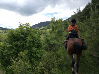 Montée sur le col des Sagnes balade à cheval