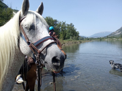 randonnée equestre aux 3 lacs