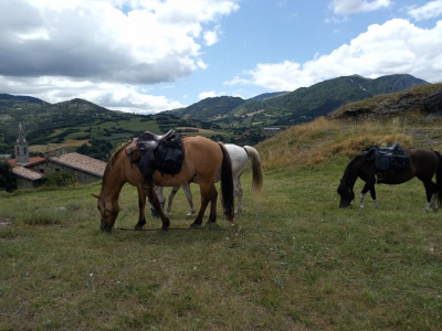 Rando equestre a Turriers