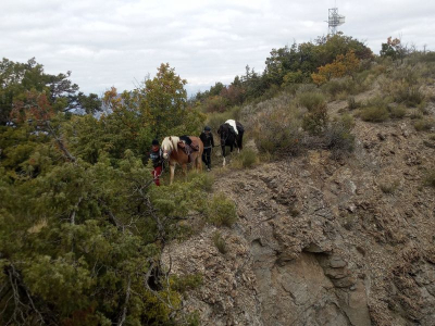 randonnée equestre dans les Hautes Alpes