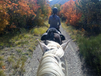 randonnée equestre a l'automne