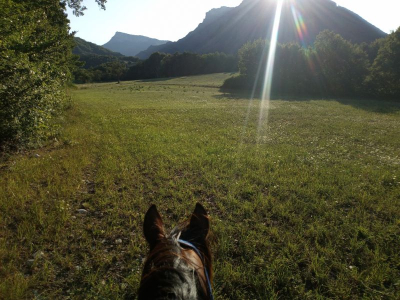 randonnée equestre dans les Hautes Alpes