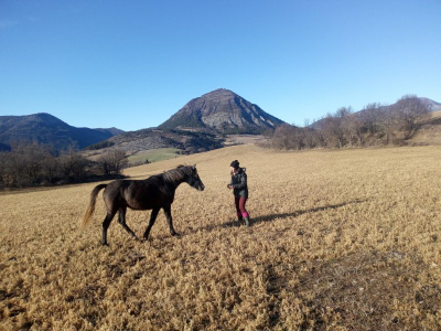 médiation equine dans les Hautes Alpes