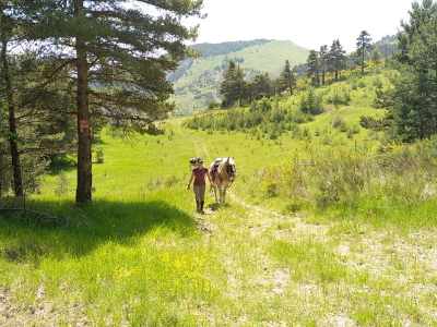 randonnée à cheval