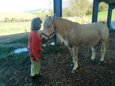 travailler avec le cheval