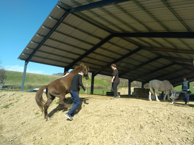 travail en terrain varié