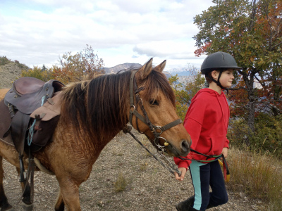 marcher a pied avec son cheval