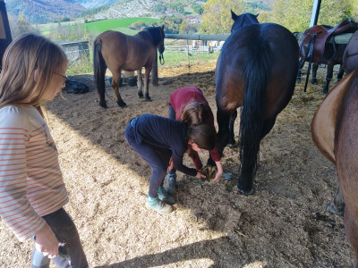 s'occuper de son cheval