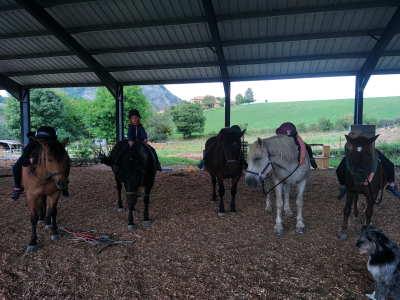 travail en respect avec le cheval